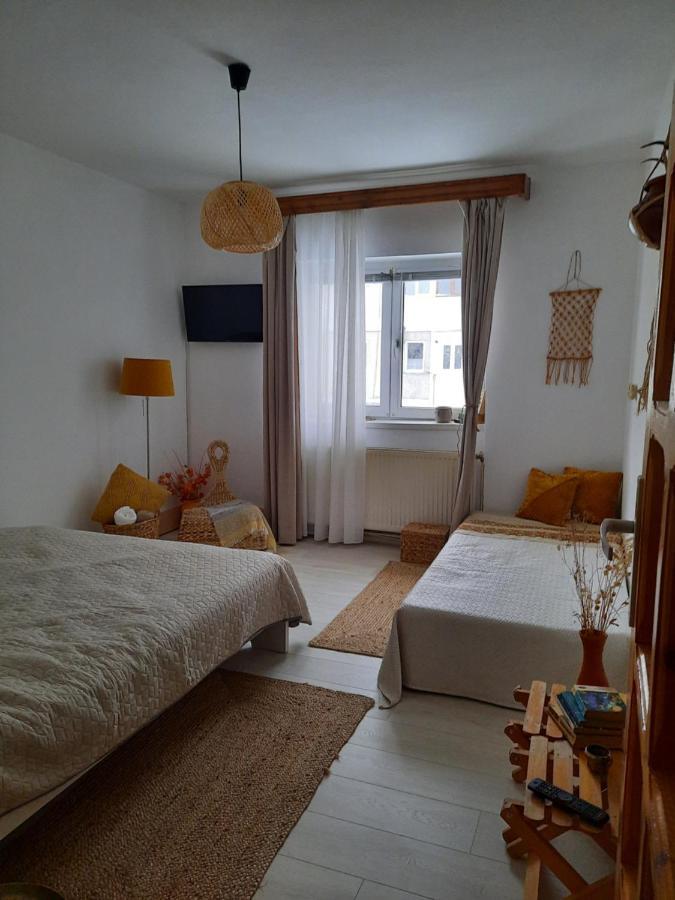 Cocooning In A Lovely Mountain Suite - Two Azuga Εξωτερικό φωτογραφία