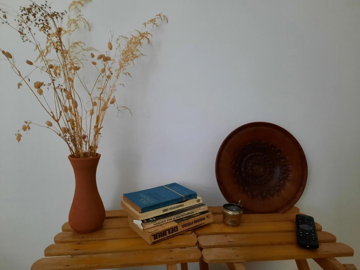 Cocooning In A Lovely Mountain Suite - Two Azuga Εξωτερικό φωτογραφία